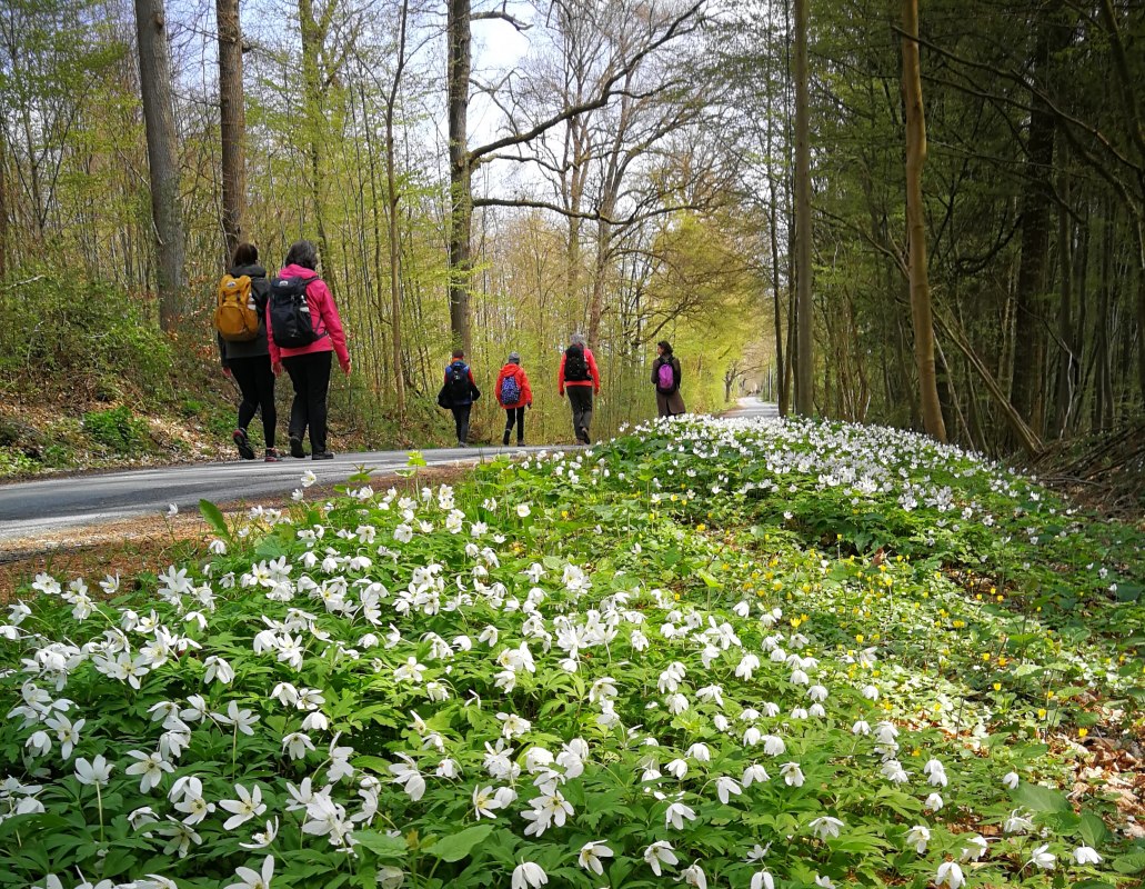 © Stadt Rehna © Stadt Rehna