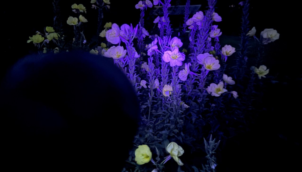 26-05-08 In a different light 1, GMZ, &copy; C