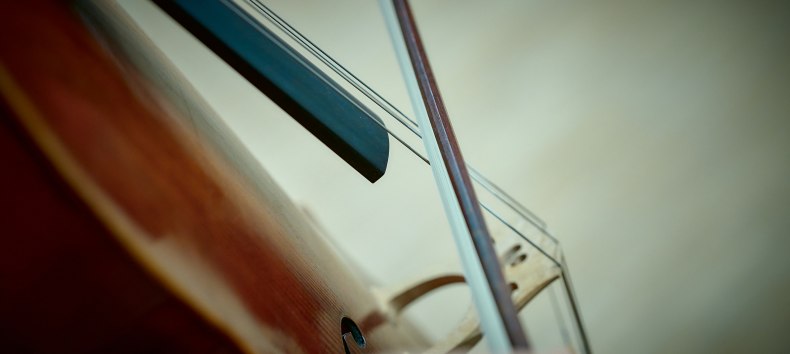 &copy; Mirco Dalchow