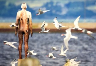 &copy; Annette Zacharias