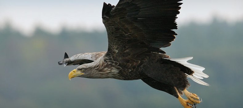 © Nationalpark-Service Federow © Nationalpark-Service Federow