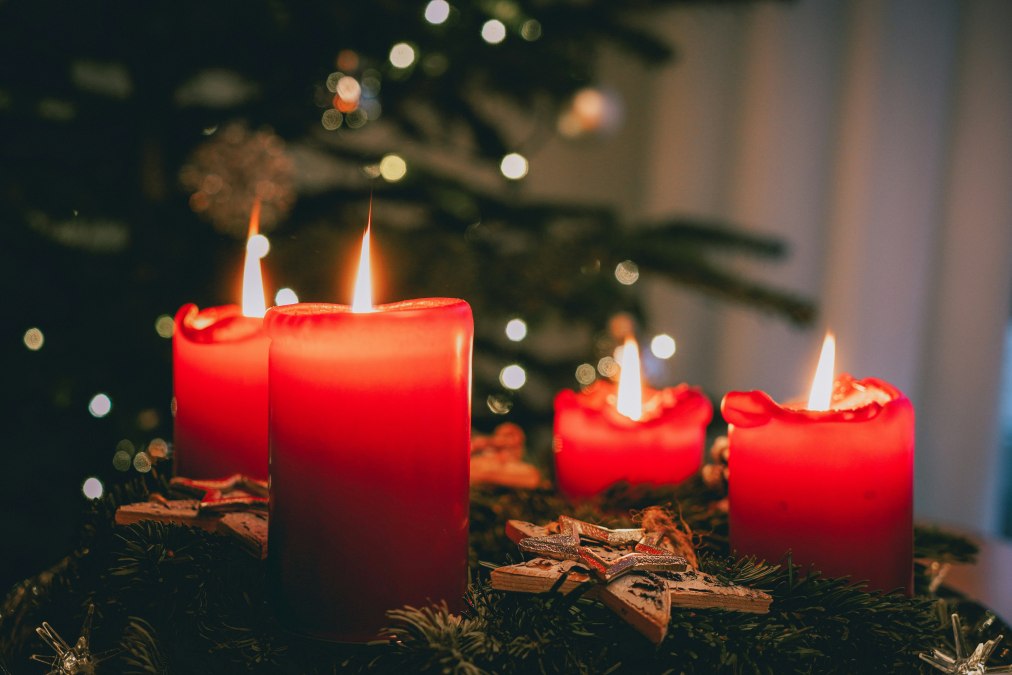 Advent in the park (symbolic photo), © Foto von Jonas Von Werne auf Unsplash