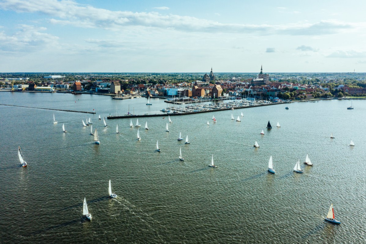 &copy; TMV/G&auml;nsicke