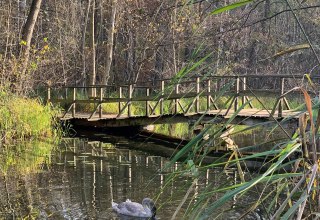 Schaale Bridge, © E. Dornblut Schaale Bridge, © E. Dornblut