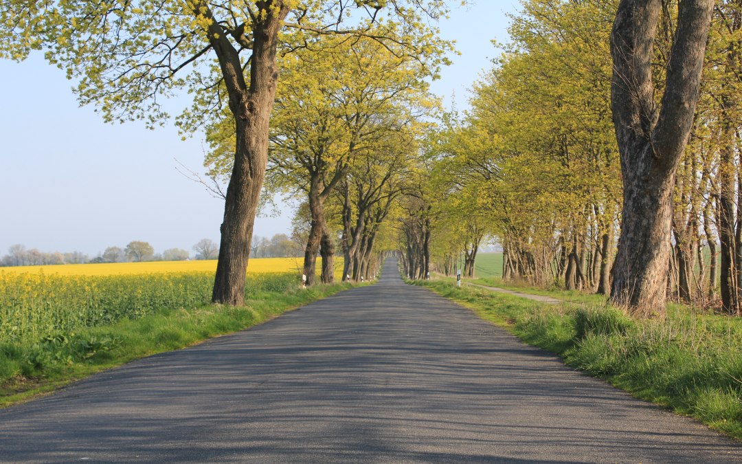 On the road in Vorpommern, © Tourismusverband Vorpommern e.V.