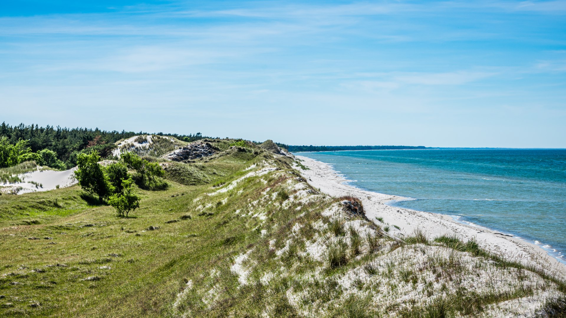 Unobstructed view over the "Hohe Dühne" in the Zingst natural landscape with a view of the Baltic Sea // Unobstructed view over the "Hohe Dühne" // © MV-T/Tiemann Unobstructed view over the "Hohe Dühne" in the Zingst natural landscape with a view of the Baltic Sea