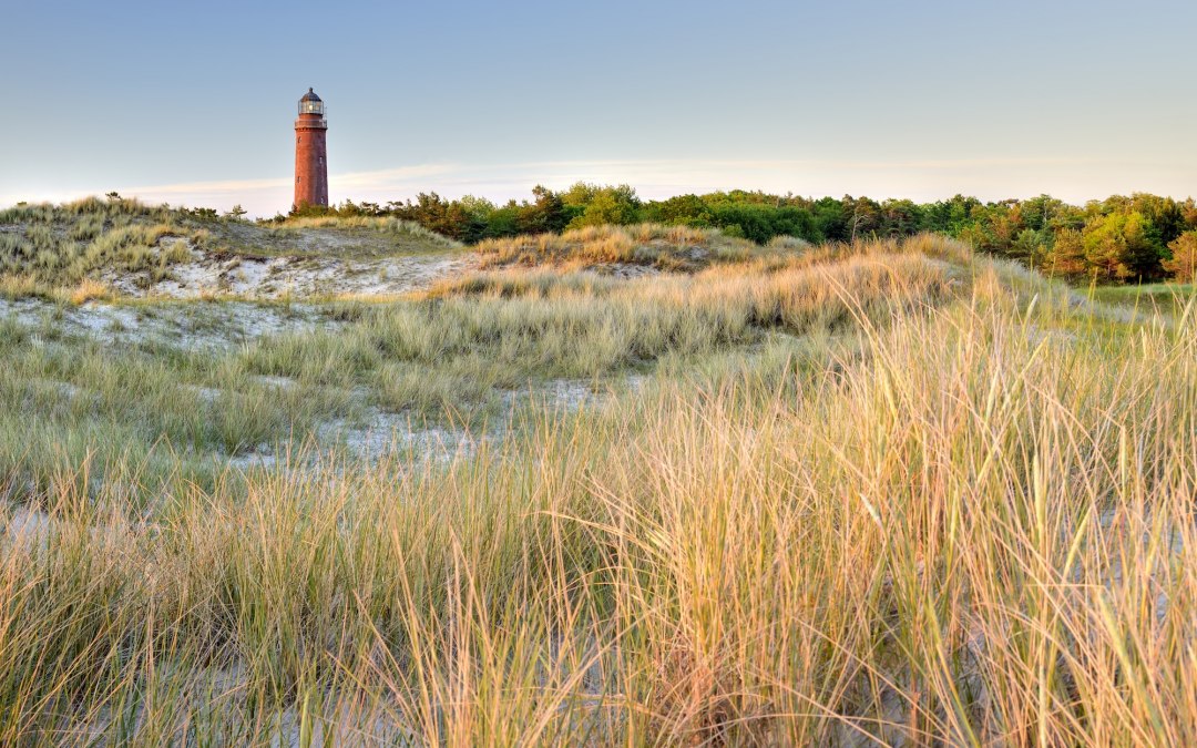 De opvallende vuurtoren van de Dar&szlig; rijst op uit het duinlandschap bij Prerow. Goudkleurig duingras wiegt in de wind, terwijl de rode vuurtoren je blik richt op het uitgestrekte kustlandschap van de Oostzee - een mijlpaal om te ontdekken op de Dar&szlig;. // &copy; Francesco Carovillano