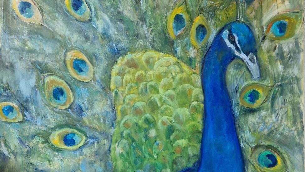 Peacock with open wheel, © Caroline von Heydebreck