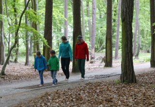 Zonder schoenen kun je over het blotevoetenpad lopen over verschillende natuurlijke materialen zoals hout, stenen en dennenappels. // &copy; MV-T/outdoor-visions.com