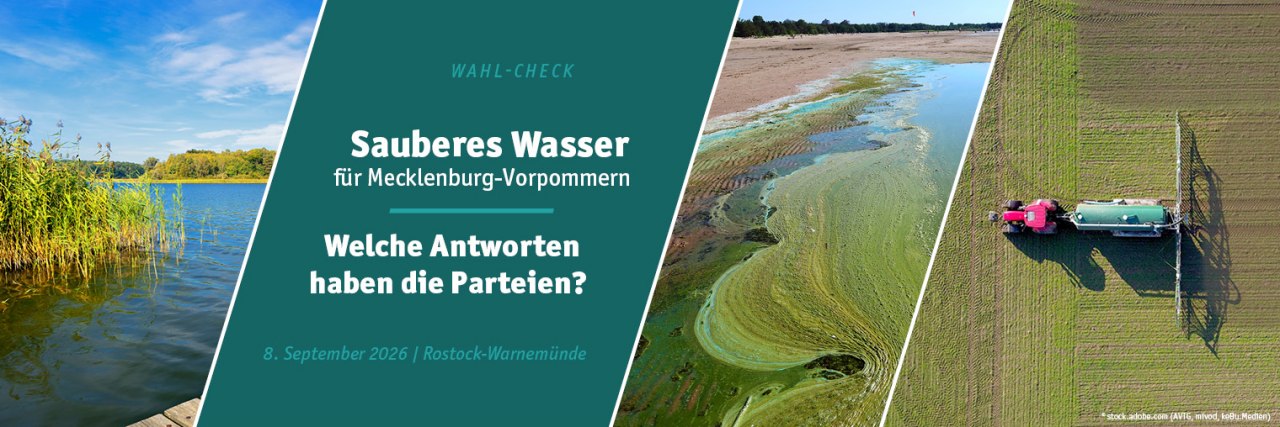 Uitnodiging voor de verkiezingscheck „Schoon water“ // © stock.adobe.com _AVTG, mivod, keBu.Medien Uitnodiging voor de verkiezingscheck „Schoon water“ // © stock.adobe.com _AVTG, mivod, keBu.Medien