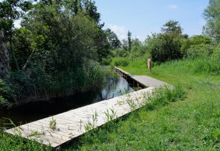 Ingang naar de steiger vanaf de rivier de Recknitz, © Tourismusverein Vogelparkregion Recknitztal e.V.