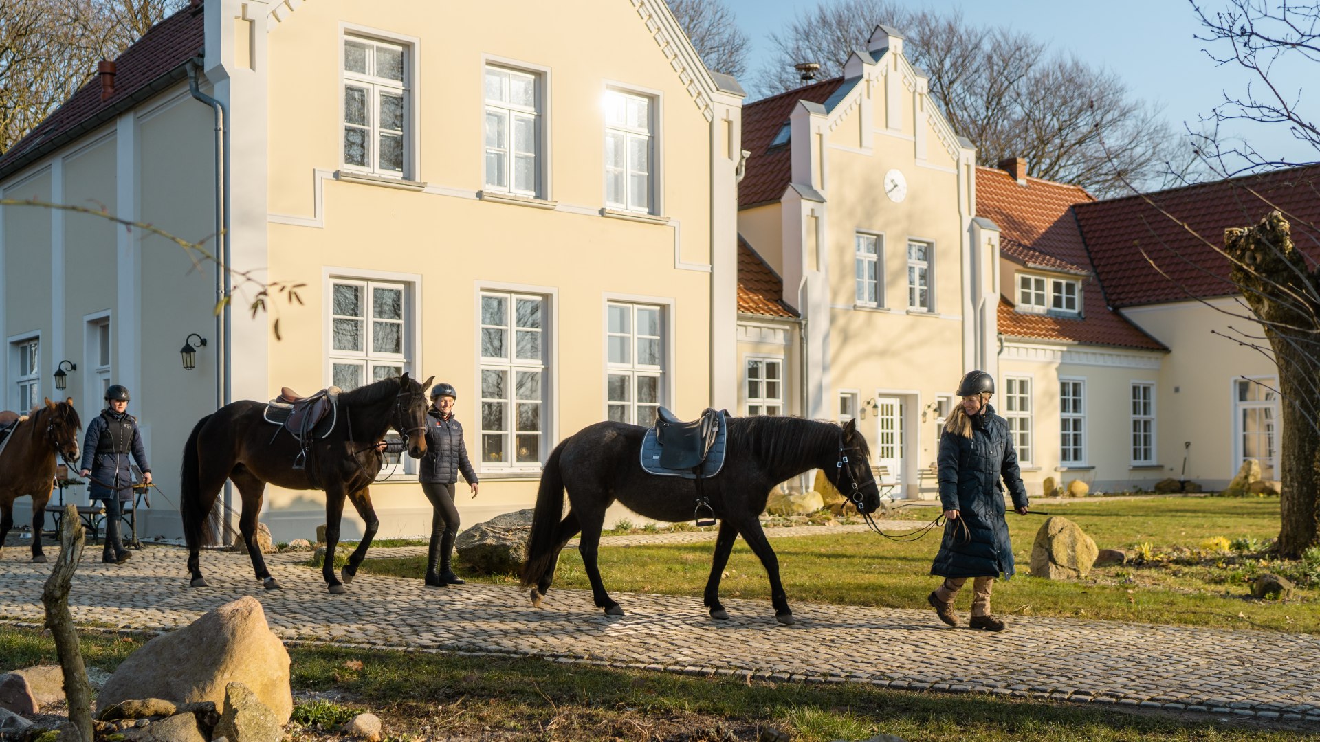 Paarden worden langs het landhuis Ehmkendorf geleid voor een rit bij zonsondergang.