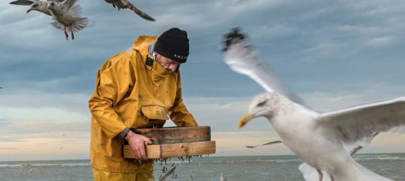 &copy; Rolf Nobel