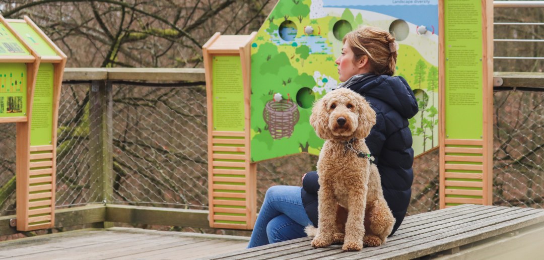 Proefdag: Op boomtoppenwandeling met je hond, © Erlebnis Akademie AG/NEZR