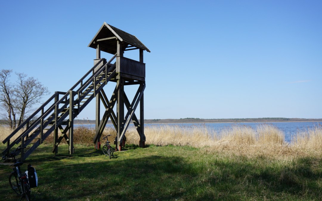 Wieża obserwacyjna nad jeziorem Neuwarp, © tvv-bock
