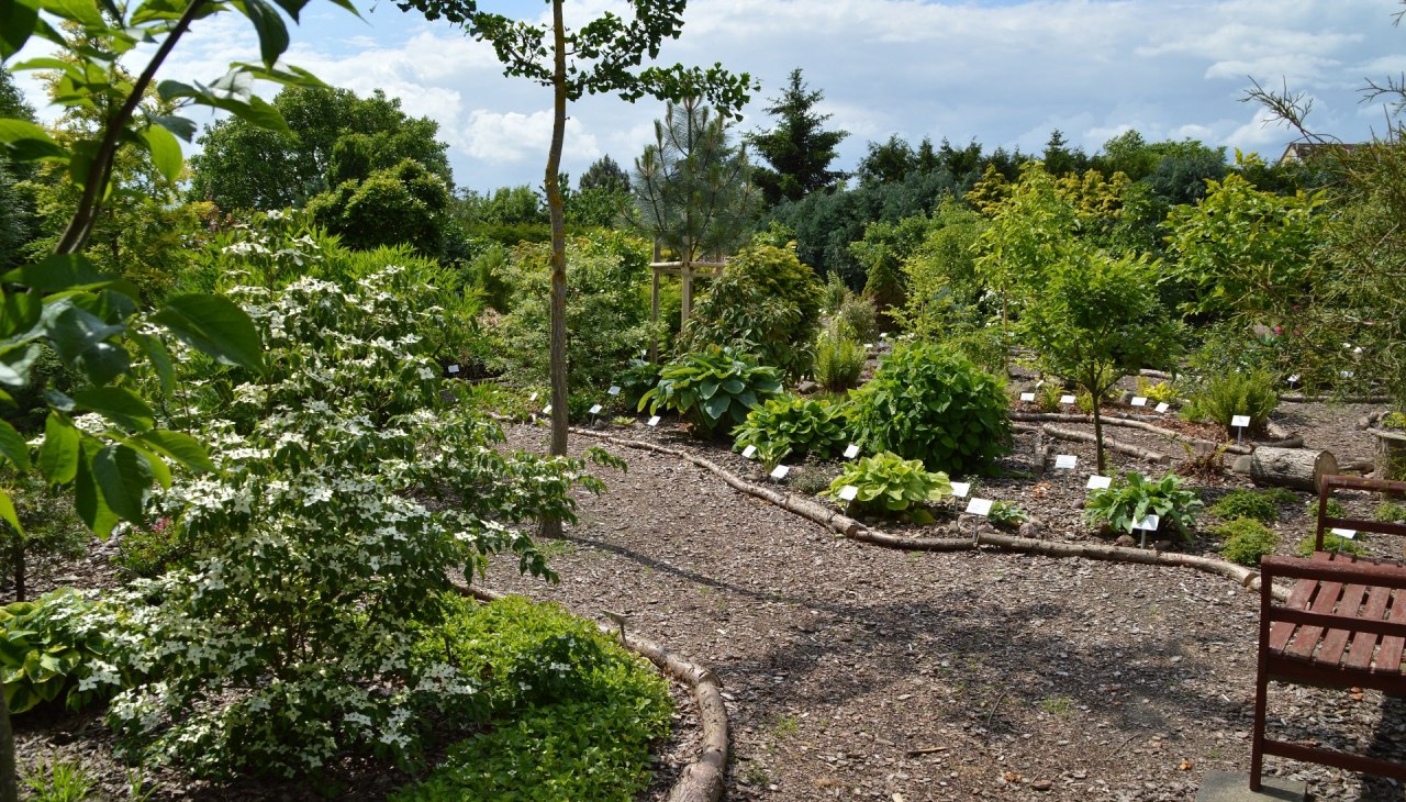 Kręta ścieżka przez nowszą część kompleksu, &copy; Kevin Hager (Baumschule Hager)