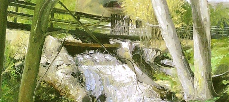 &copy; Wasserm&uuml;hle Hanshagen