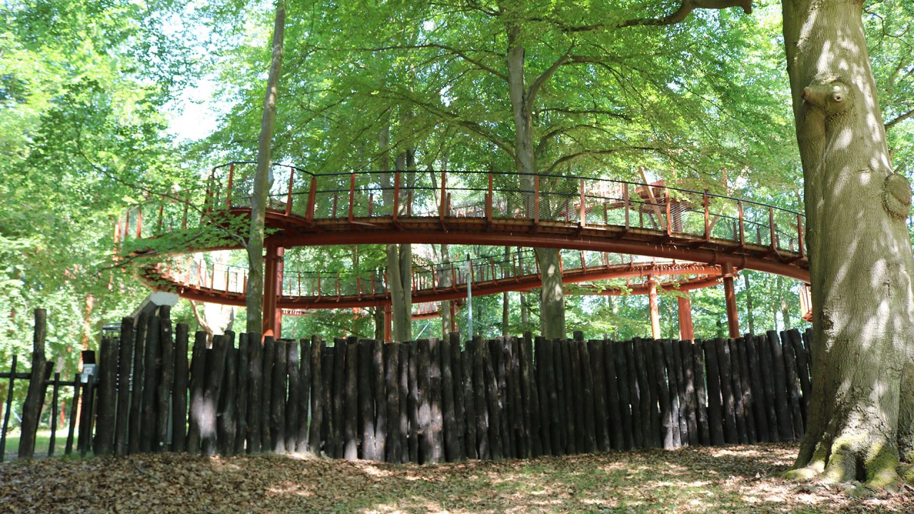 Ivenack - boomtop wandeling, &copy; Silke Voss