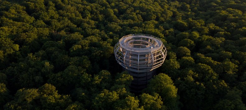 © Binzer Bucht Tourismus © Binzer Bucht Tourismus