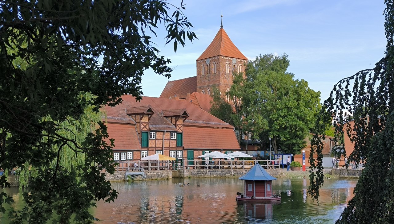 Widok na staw młyński, © Jana Koch
