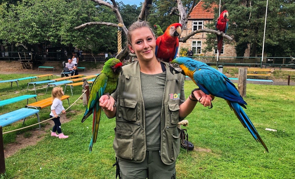 Air show at Stralsund Zoo, &copy; Zoo Stralsund