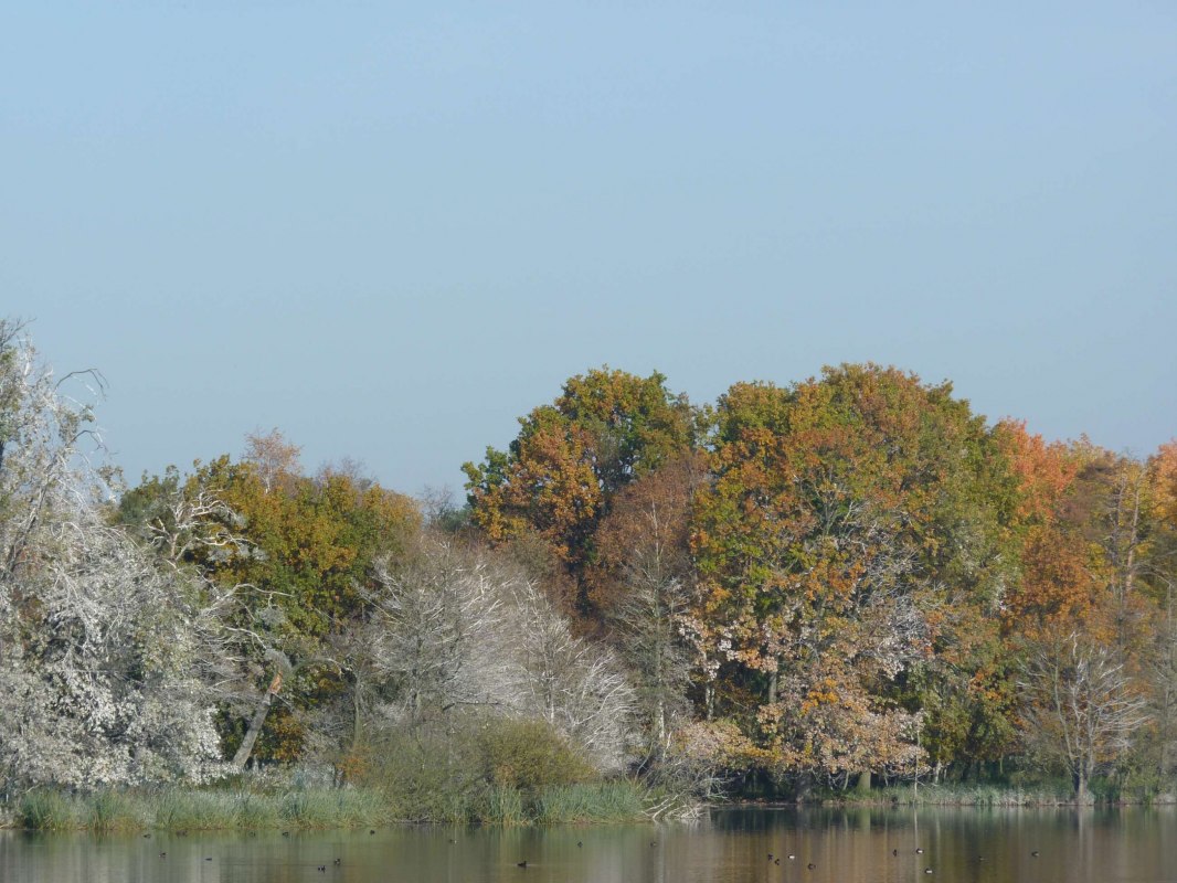&copy; Waren (M&uuml;ritz) Kur-und Tourismus GmbH