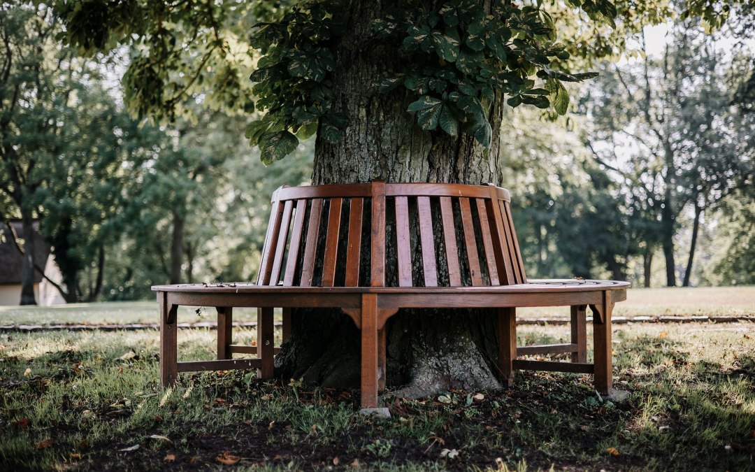 Gezellige plekjes zoals deze boombank vind je overal in het park en het landhuis, © Gutshaus Gremmelin