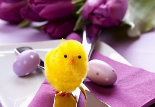 © www.fotolia.com © www.fotolia.com