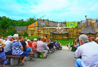 Pelikane in der Tiershow // &copy; Vogelpark