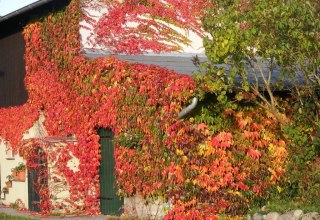 &copy; Rainer Ulrich