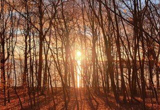 © Kurverwaltung Goehren © Kurverwaltung Goehren