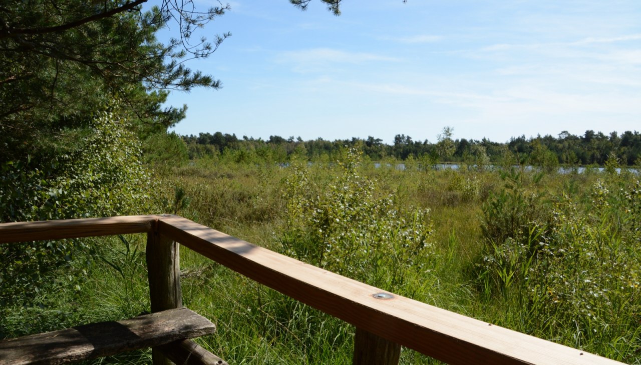 Punkt widokowy Moorsee, © Tourismusverband Mecklenburg-Schwerin