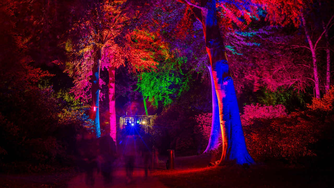 "Nacht in het park" - een ontspannen licht kunstevenement // © André Pristaff / Tourismus- und Kur GmbH Graal-Müritz "Nacht in het park" - een ontspannen licht kunstevenement // © André Pristaff / Tourismus- und Kur GmbH Graal-Müritz
