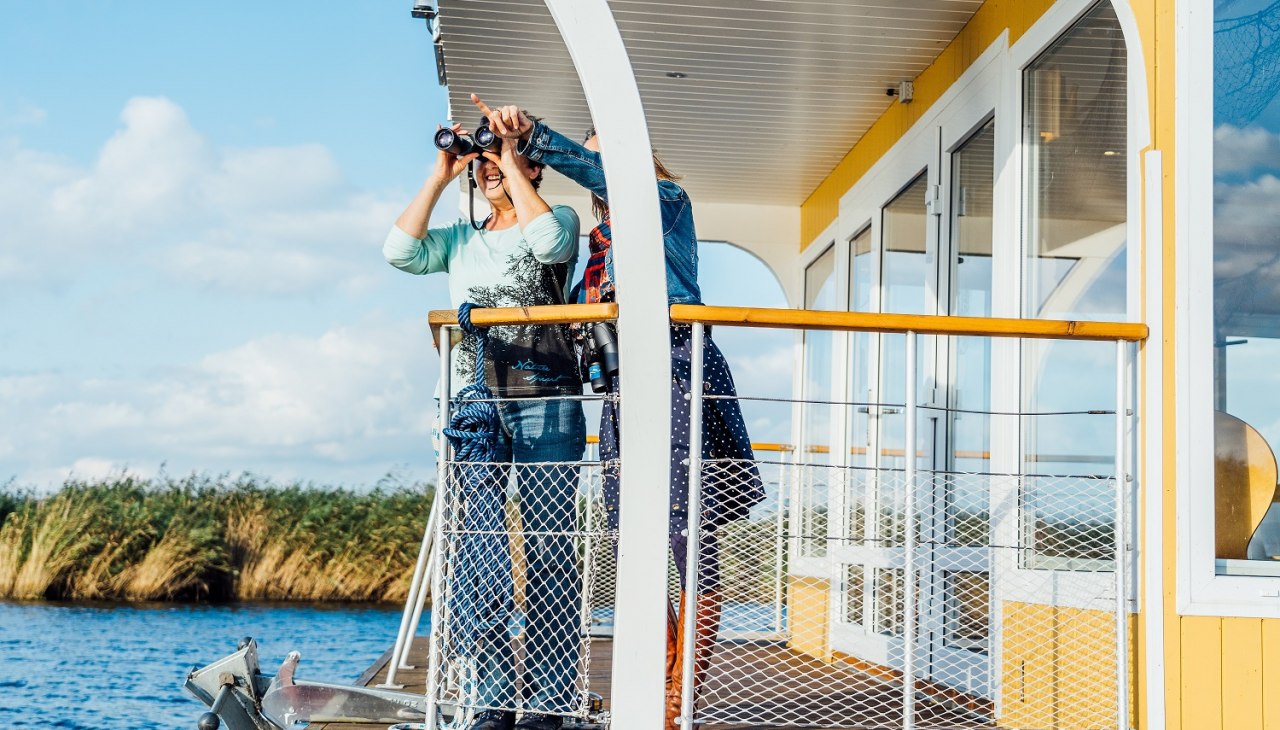 DSC09572, &copy; AFL