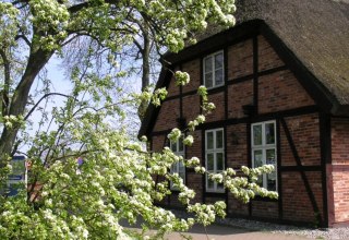 Het Ummanz informatiecentrum heeft vakantietips en kaarten voor je klaarliggen // © Ummanz-Information/Schmorell Het Ummanz informatiecentrum heeft vakantietips en kaarten voor je klaarliggen // © Ummanz-Information/Schmorell