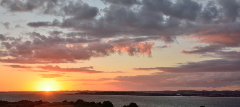 &copy; Naturf&uuml;hrer Rene' Geyer