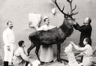 &copy; M&uuml;rtzeum Waren