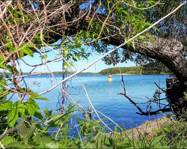 The Schwerin inner lake // &copy; adfc-Schwerin