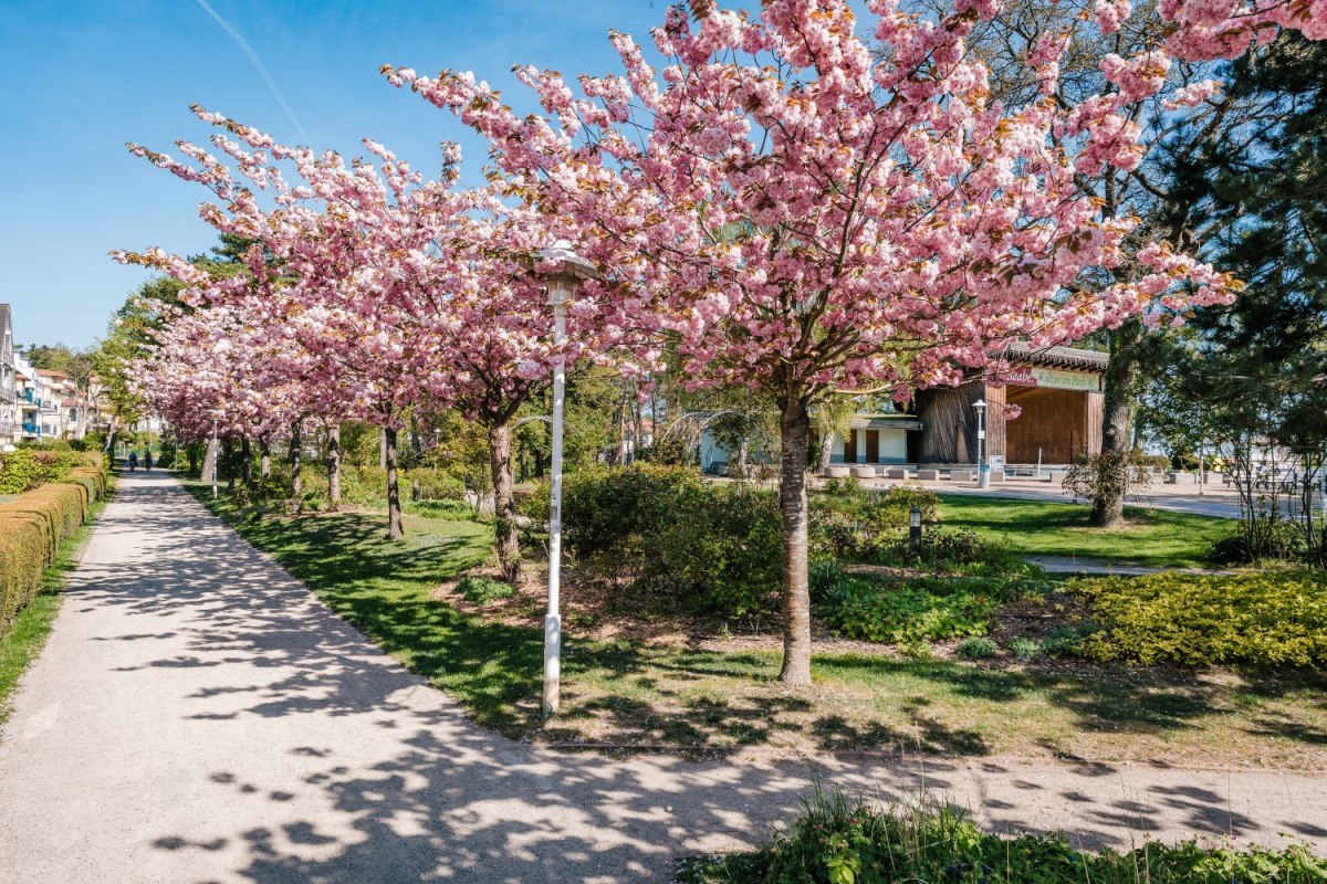 Tanz in den Mai mit Lampionumzug Tanz in den Mai mit Lampionumzug