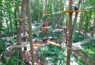 &Uuml;bersicht Kletterwald // &copy; Michael Schicha