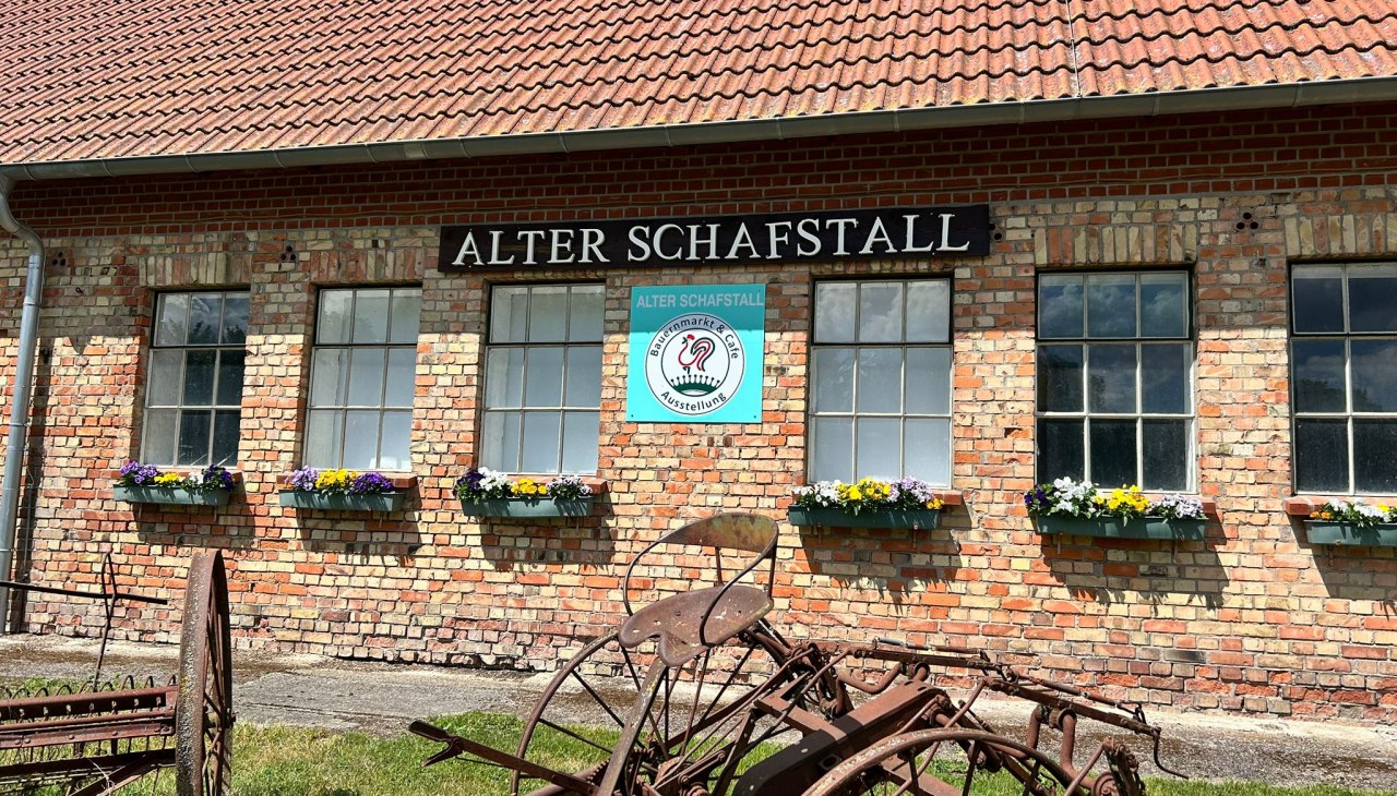 IMG-20250526-WA0013, © Katrin Berndt