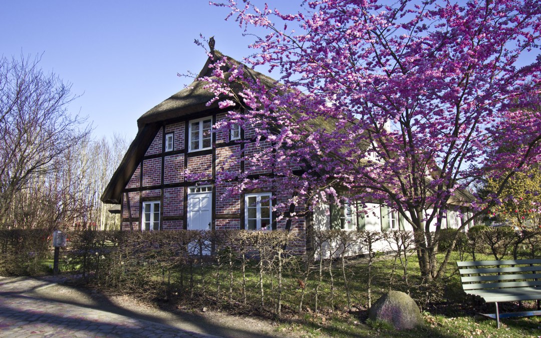 Gutshauskate, vacation under thatched roof, © Rittergut Streu