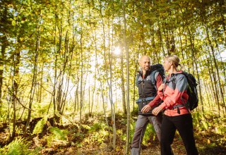 Wandern in der Rostocker Heide // © TZRW_T.Roth Wandern in der Rostocker Heide // © TZRW_T.Roth
