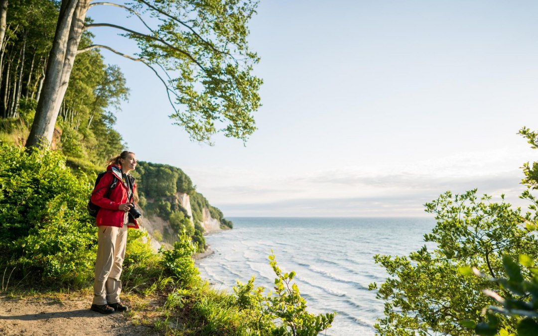 Wild and fascinating: the imposing chalk cliffs, a timeless symbol of the Island of Rügen., © TMV/Roth Wild and fascinating: the imposing chalk cliffs, a timeless symbol of the Island of Rügen., © TMV/Roth