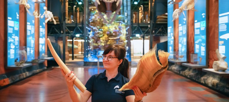 &copy; Anke Neumeister/Deutsches Meeresmuseum