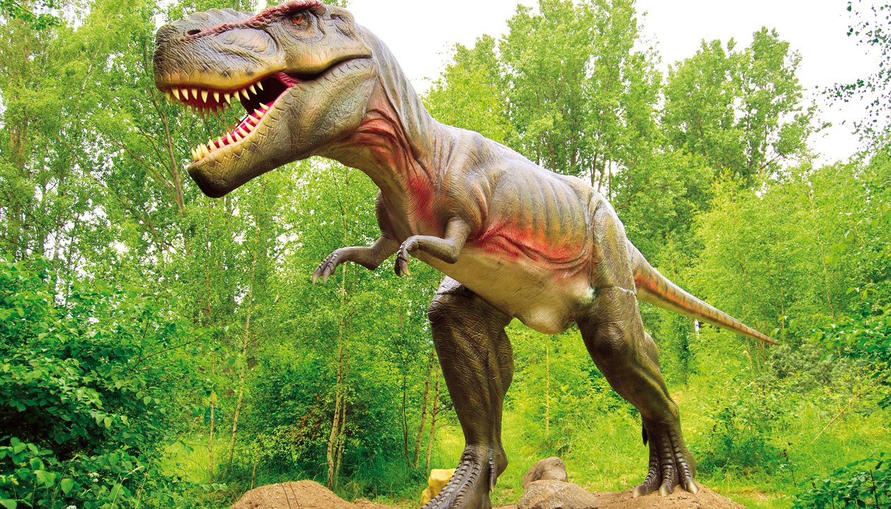 Tyranozaurus Rex, &copy; Marcel Kunkel