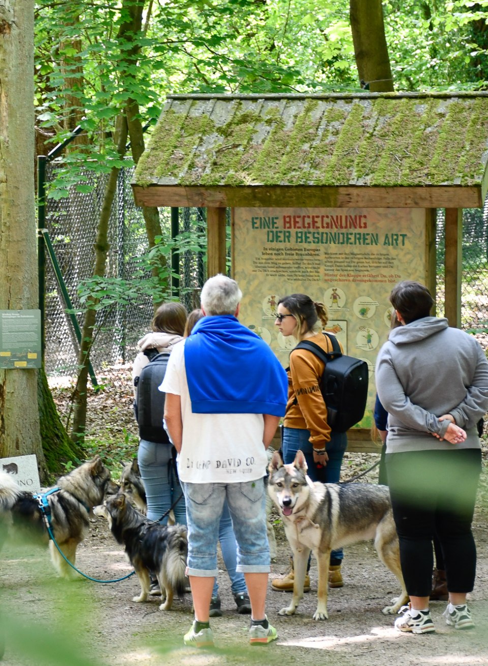People stand in front of an information board with their dogs in the Müritz Bear Sanctuary.