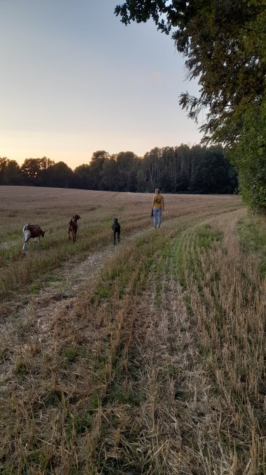 Our little Burderei, © Andrea Hauser