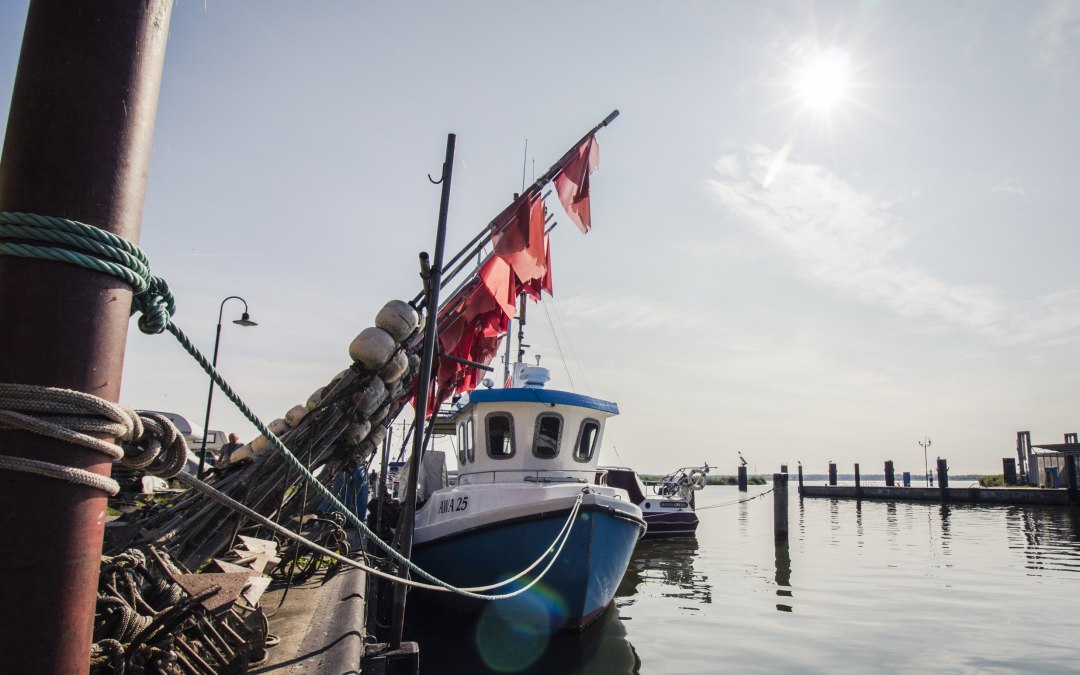 Je kunt vissers bekijken en vis eten in de vissershaven van Altwarp, © Philipp Schulz
