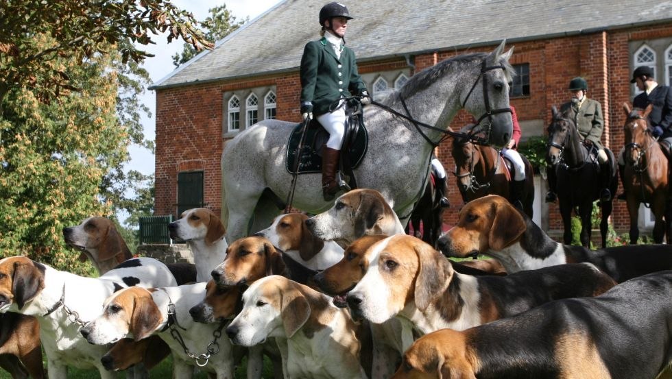Mecklenburger Meute - Immerse yourself in the experience of hunting riding and the harmony of rider, horse and dog. // © FerienGut Dalwitz Mecklenburger Meute - Immerse yourself in the experience of hunting riding and the harmony of rider, horse and dog. // © FerienGut Dalwitz